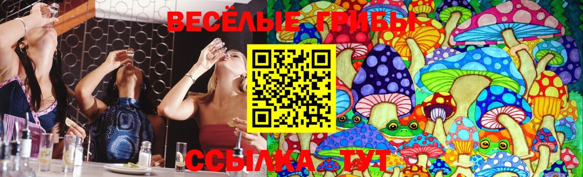 Псилоцибиновые грибы Psilocybe  Вход с VPN  Полысаево  Галлюциногенные грибы мухоморы 