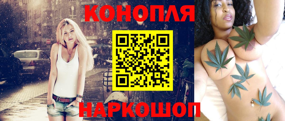Каннабис планчик Полысаево